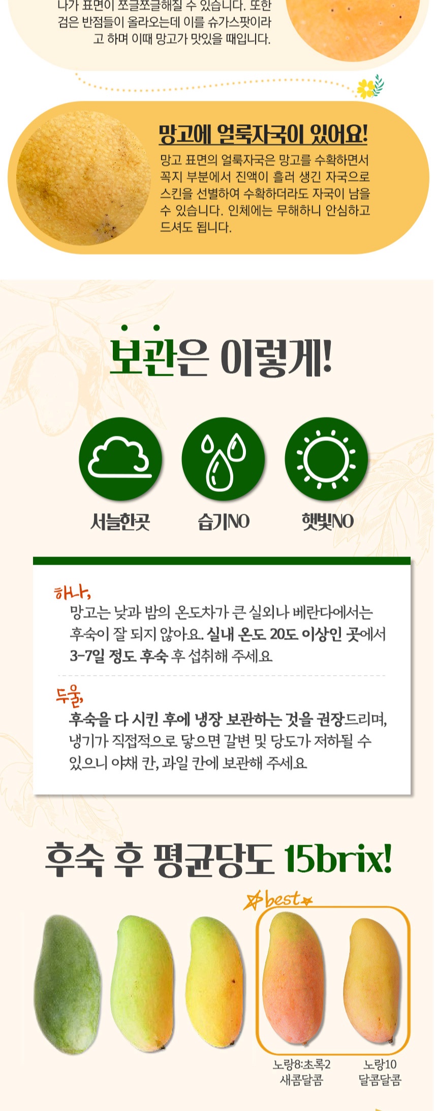 태국 마하차녹 무지개 망고 특대과, 4kg 상세컷