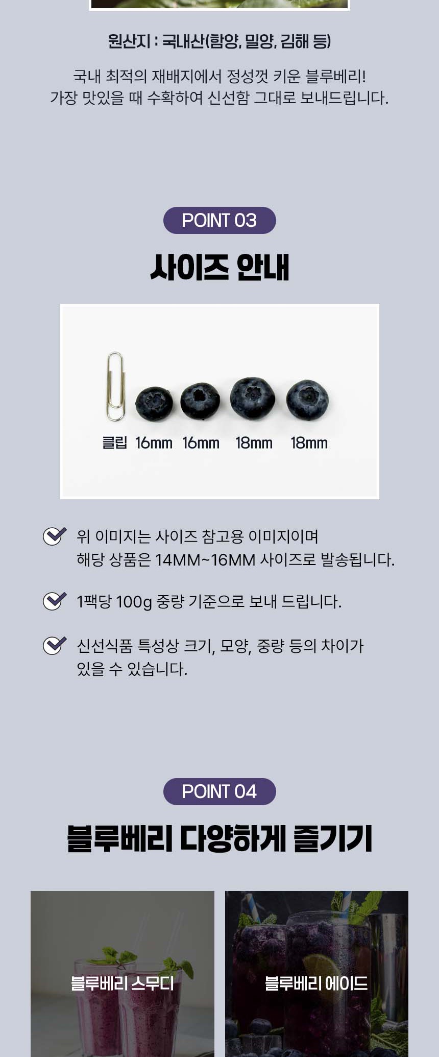 [2026 햇블루베리] 경남 생블루베리 생과 100g 상세컷