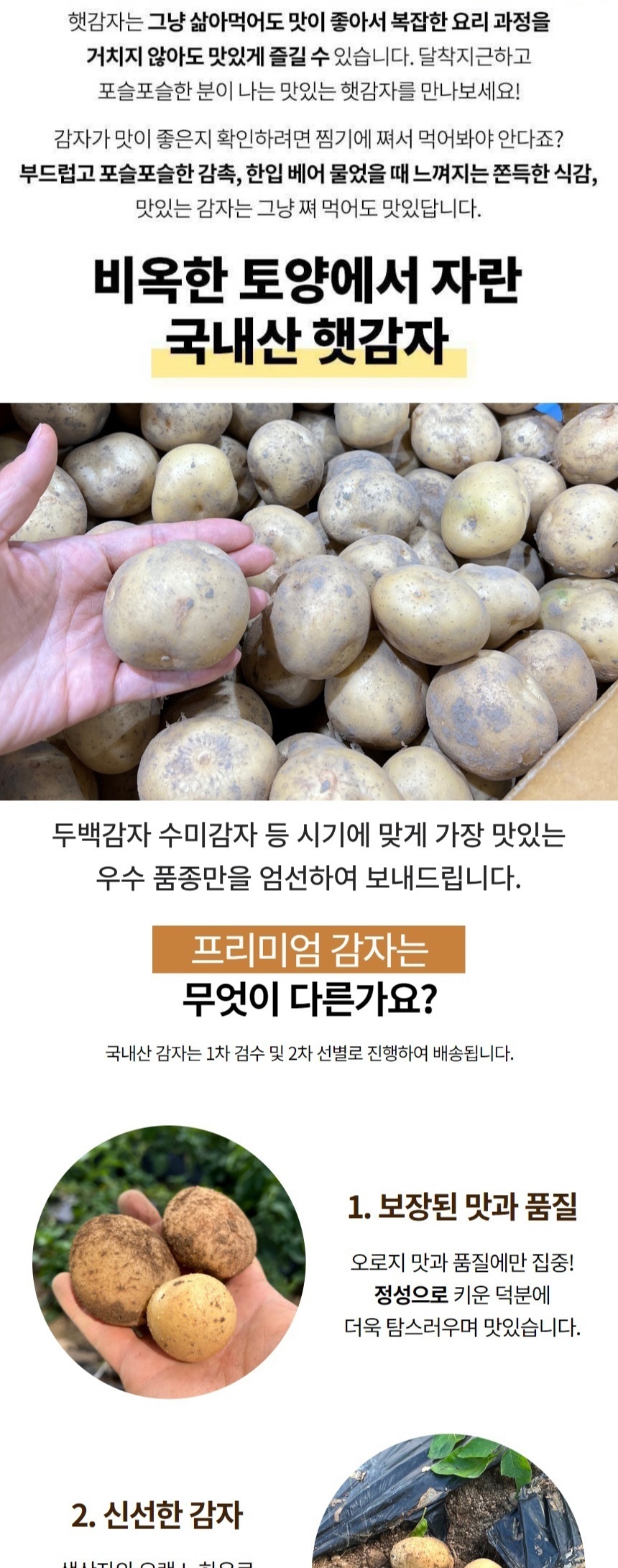 신선혜자 국내산 감자 햇 수미감자 산지직송 중 상세컷