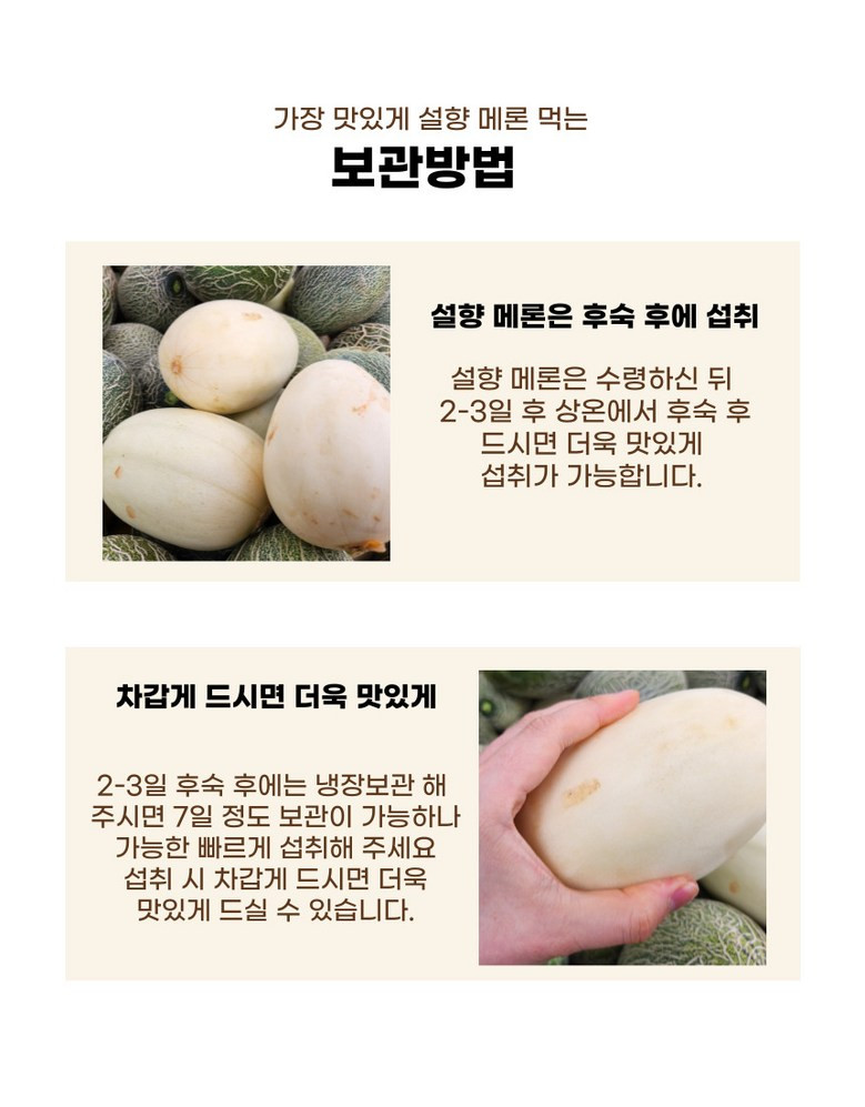 [설향메론] 적정 당도 프리미엄 메론 설향 멜론 3kg 상세컷