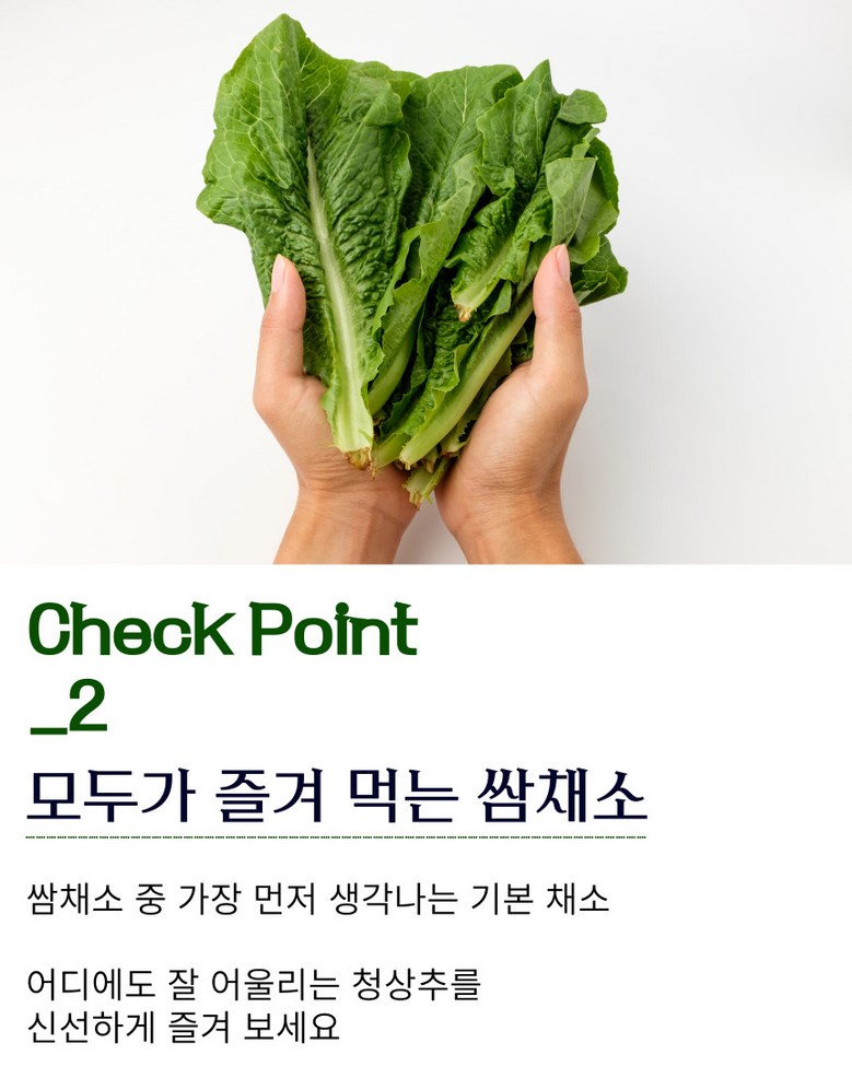[당일경매] 초신선 국내산 아삭이 통로메인 청상추 100g 상세컷