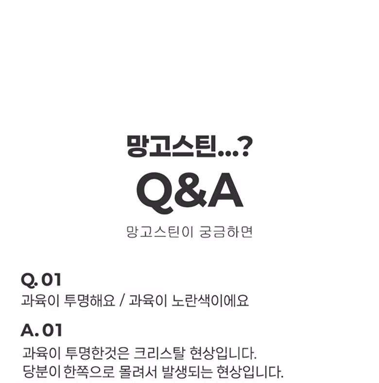 [항공직송] 과일의 여왕 신선한 태국산 생 망고스틴 500g 상세컷