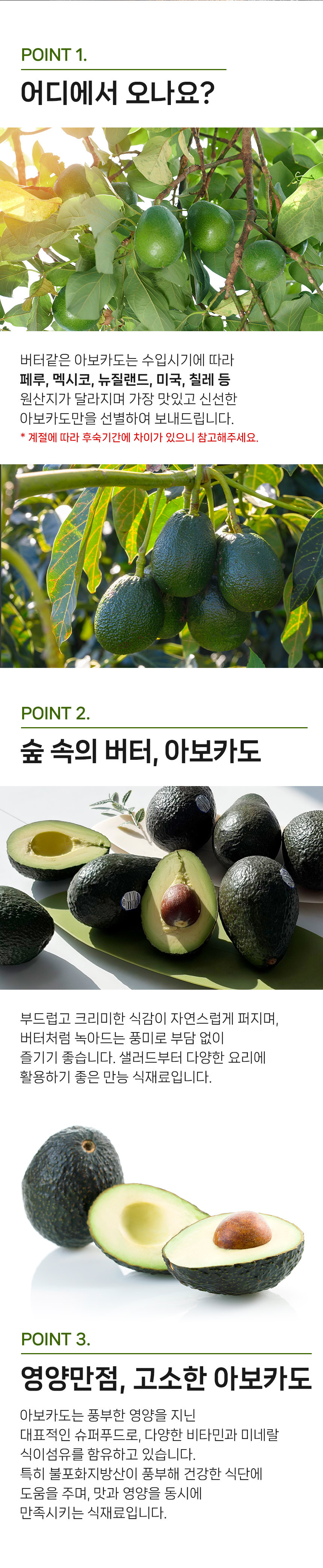 [항공직송] 프리미엄 생 아보카도 최상급 특대과 230g 상세컷