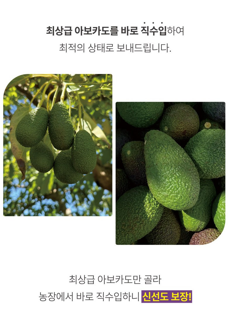 [받자마자 바로먹는] 아보카도 잘익은 최상급 후숙 아보카도 210g 상세컷