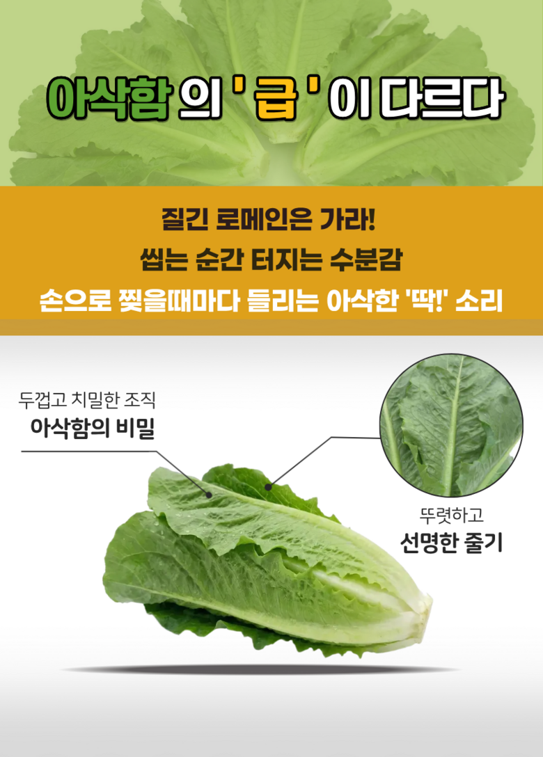 [당일경매] 초신선 국내산 아삭이 통로메인 청상추 100g 상세컷