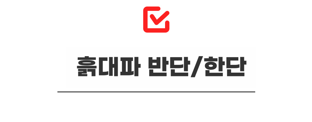 파릇파릇 초신선 국내산 흙대파 1kg 상세컷