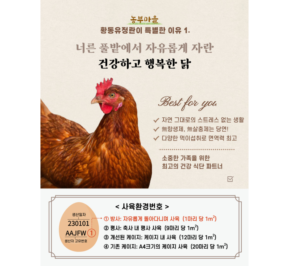 [난각번호1번] 자연방사 무항생제 유정란 생 달걀 (대란/특란) 10구 상세컷