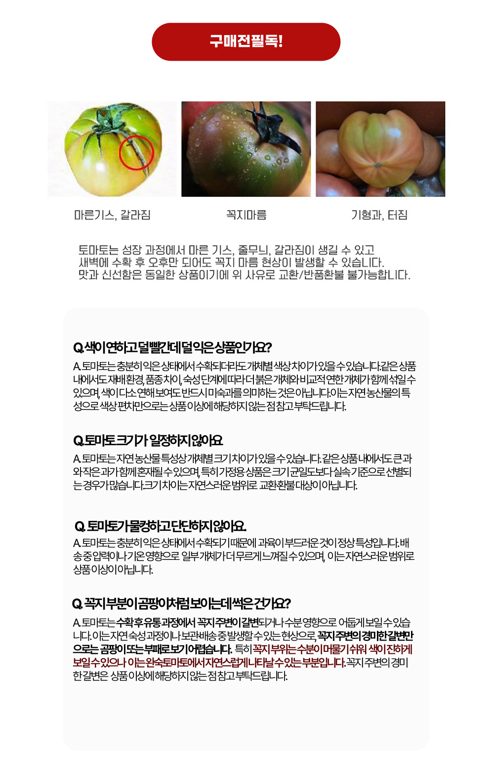 [국내산 산지직송] 초신선 완숙 찰토마토 중과 상세컷