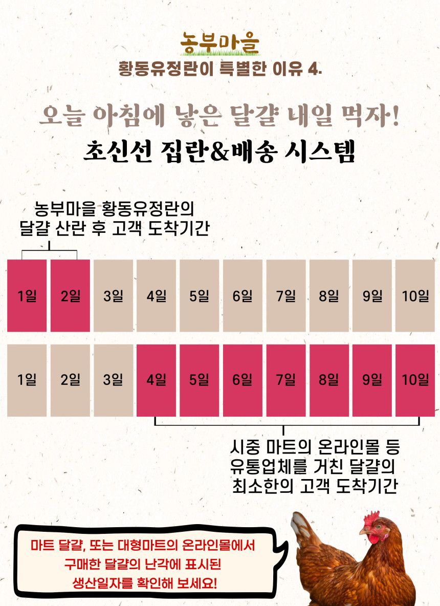[난각번호1번] 자연방사 무항생제 유정란 생 달걀 (대란/특란) 10구 상세컷