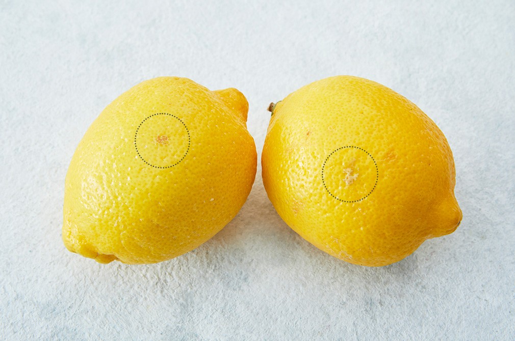 튼실한 팬시 레몬 특대과 150g 상세컷