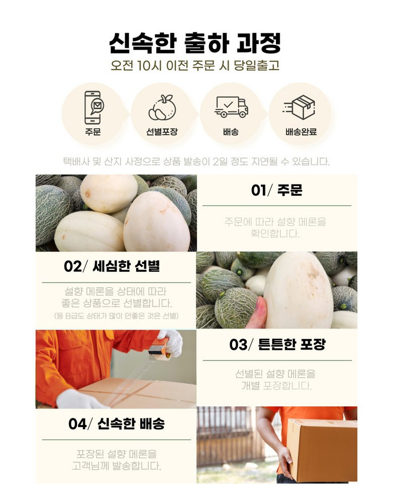 [설향메론] 적정 당도 프리미엄 메론 설향 멜론 3kg 상세컷