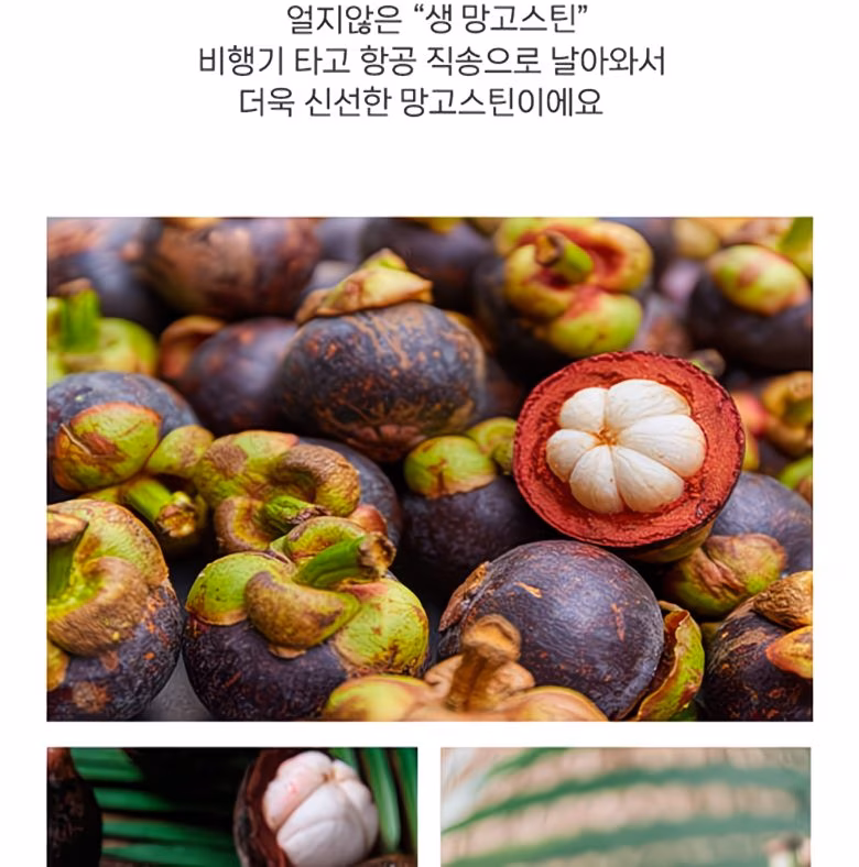 [항공직송] 과일의 여왕 신선한 태국산 생 망고스틴 500g 상세컷