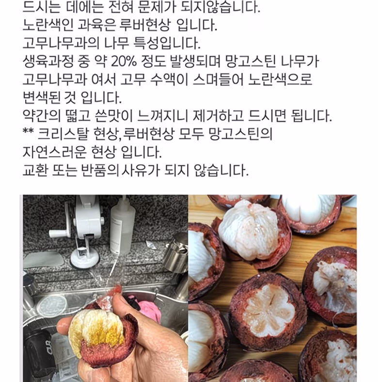 [항공직송] 과일의 여왕 신선한 태국산 생 망고스틴 500g 상세컷