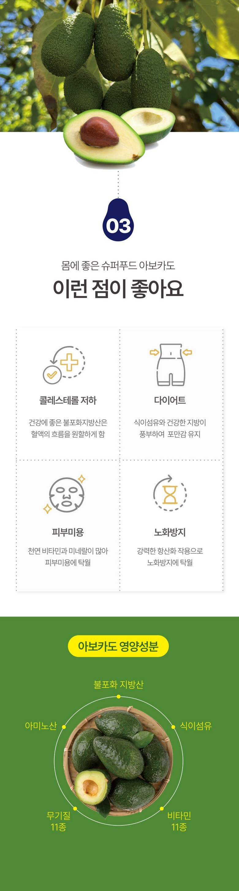 [받자마자 바로먹는] 아보카도 잘익은 최상급 후숙 아보카도 210g 상세컷