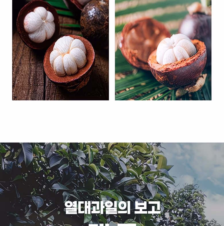 [항공직송] 과일의 여왕 신선한 태국산 생 망고스틴 500g 상세컷
