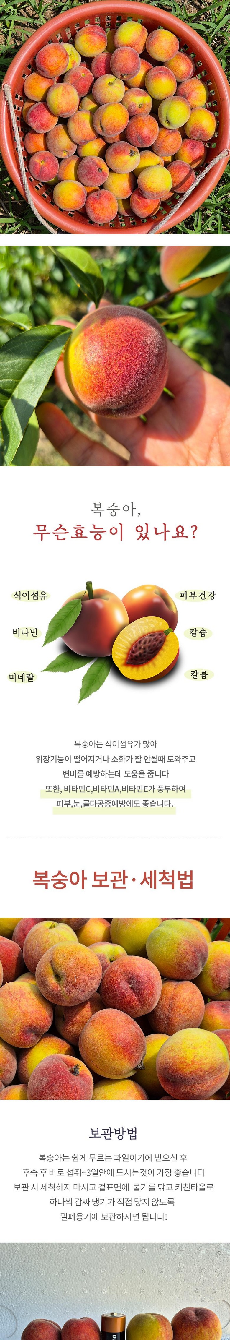 [미니 황도] 매력적인 향기 매향 복숭아 2kg 상세컷