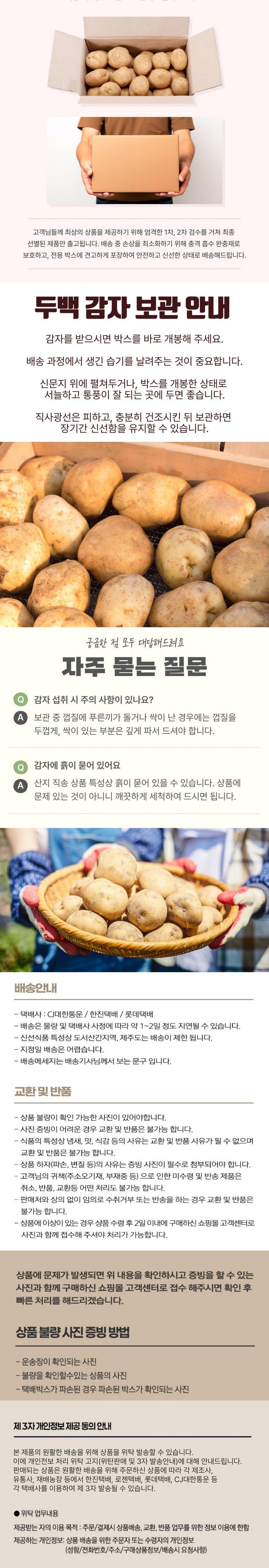 농가직송 진또배기 두백 감자 특 상세컷
