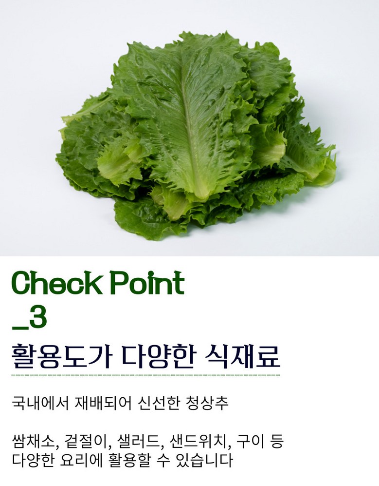 [당일경매] 초신선 국내산 아삭이 통로메인 청상추 100g 상세컷