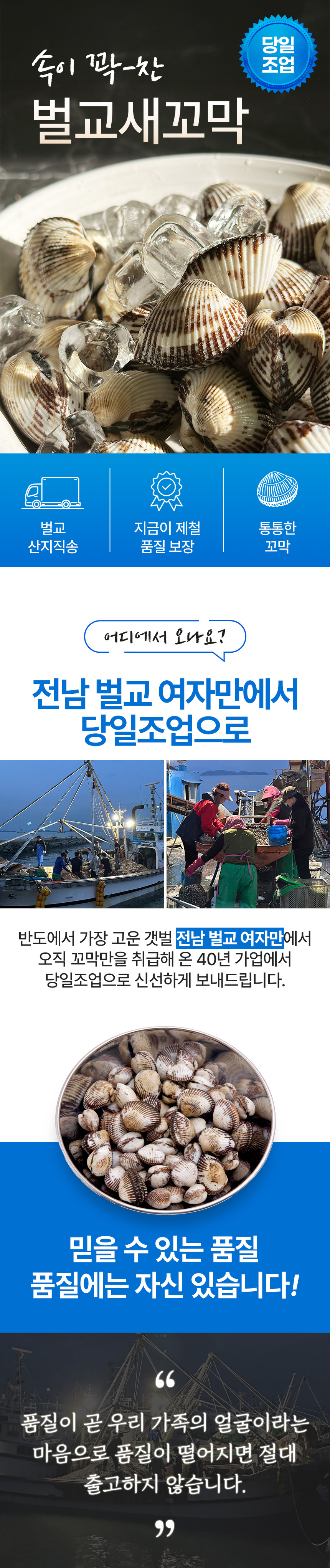[최상급] 벌교 새꼬막 당일조업 산지직송 특대 사이즈 (kg당 65미) 1kg 상세컷