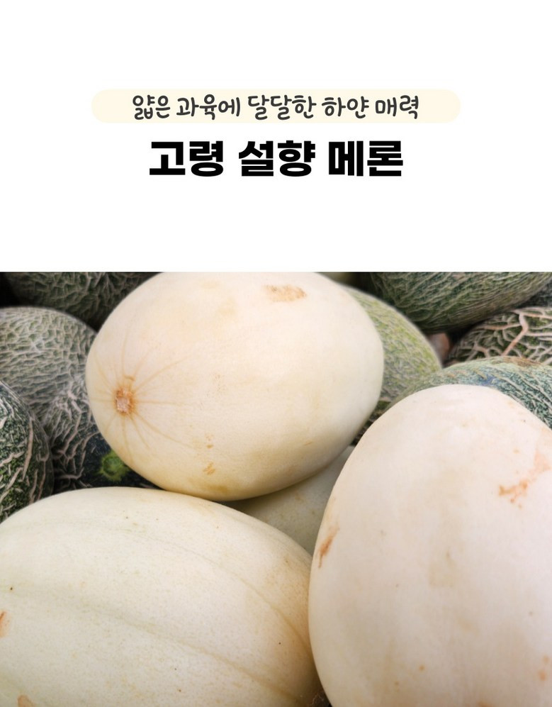 [설향메론] 적정 당도 프리미엄 메론 설향 멜론 3kg 상세컷