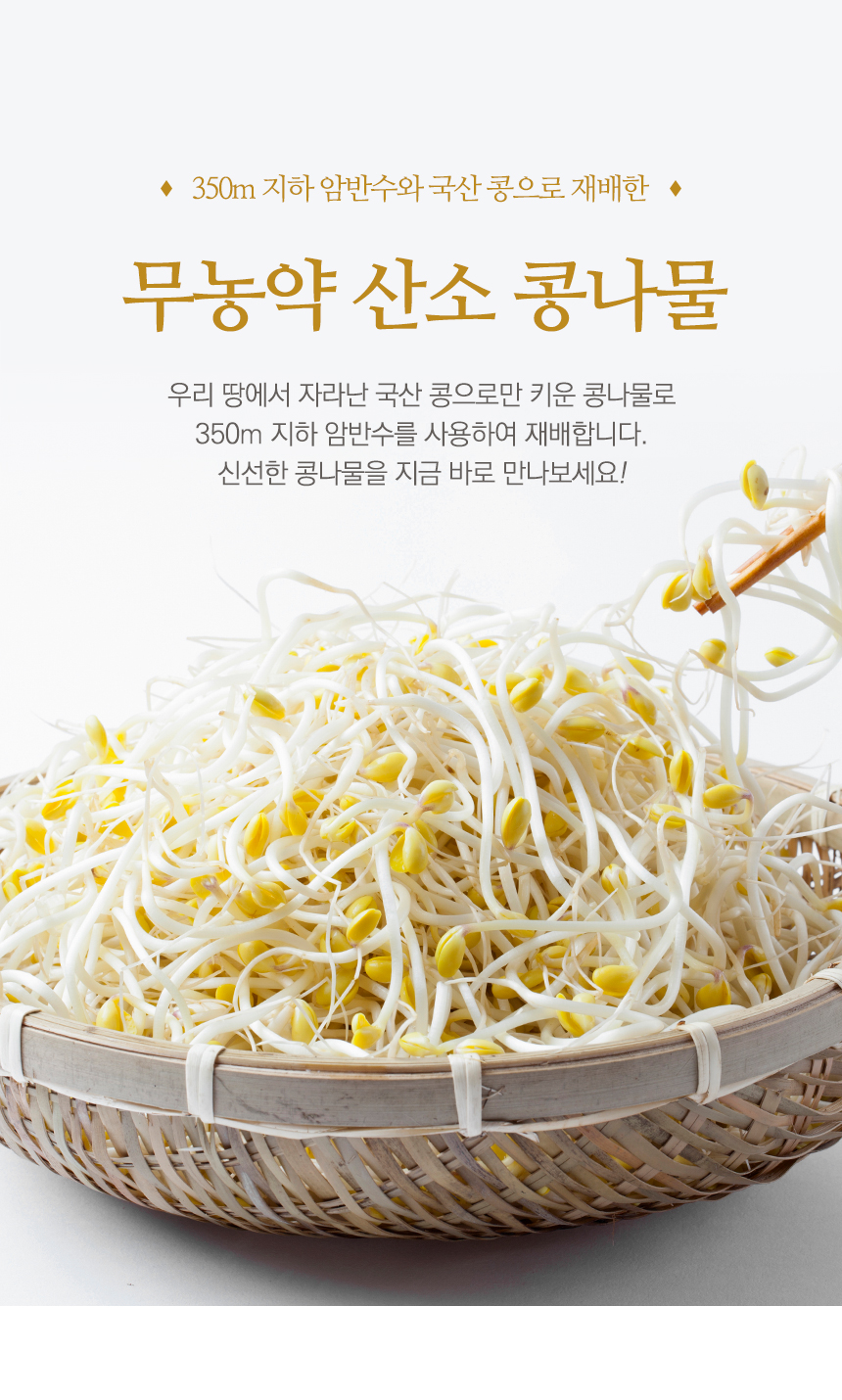 [유기농 무농약] 국내산 초신선 콩나물 1kg 상세컷