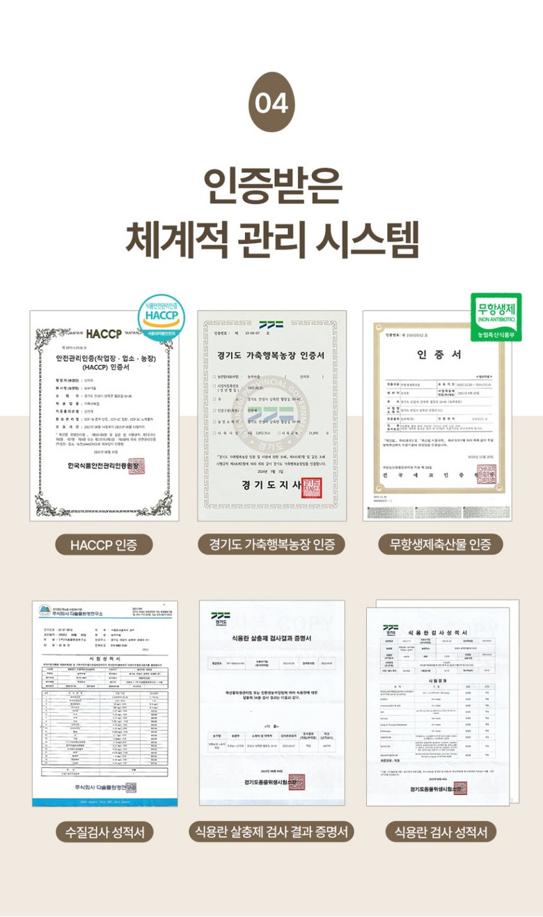 [난각번호1번 계란] 자유방목 무항생제 유정란 생란 생달걀 대란/특란 10구 상세컷