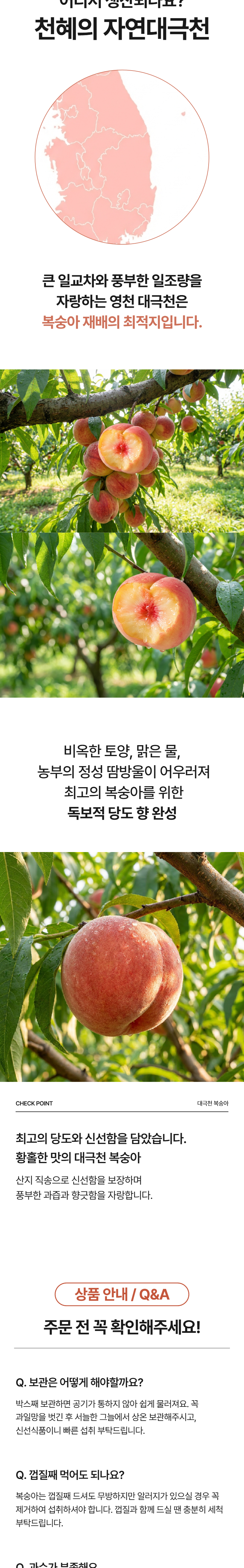 [대극천 복숭아] 아삭쫀득 과즙폭발 복숭아 2kg 상세컷