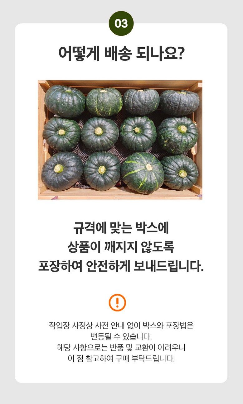 [2026 보우짱] 포슬포슬 제주 햇 미니밤호박 가정용 2kg 상세컷