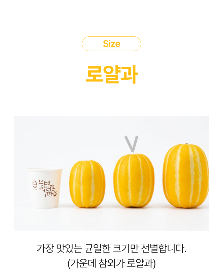 [성주 참외] 산지직송 가정용 꿀참외 로얄과 상세컷