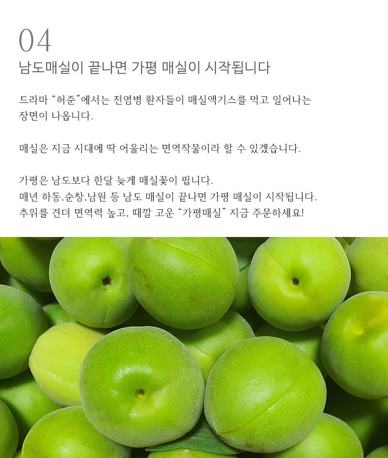 [황매실] 산지직송 매실 청매실 홍매실 (시즌 마지막 수확) 중, 10kg 상세컷