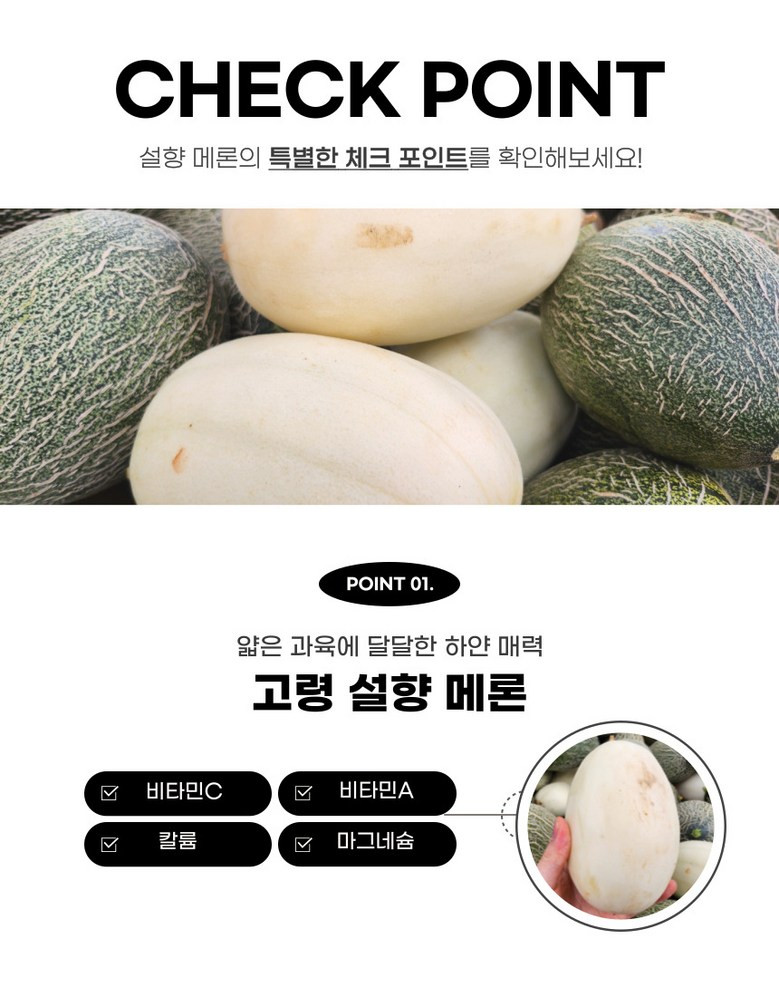 [설향메론] 적정 당도 프리미엄 메론 설향 멜론 3kg 상세컷