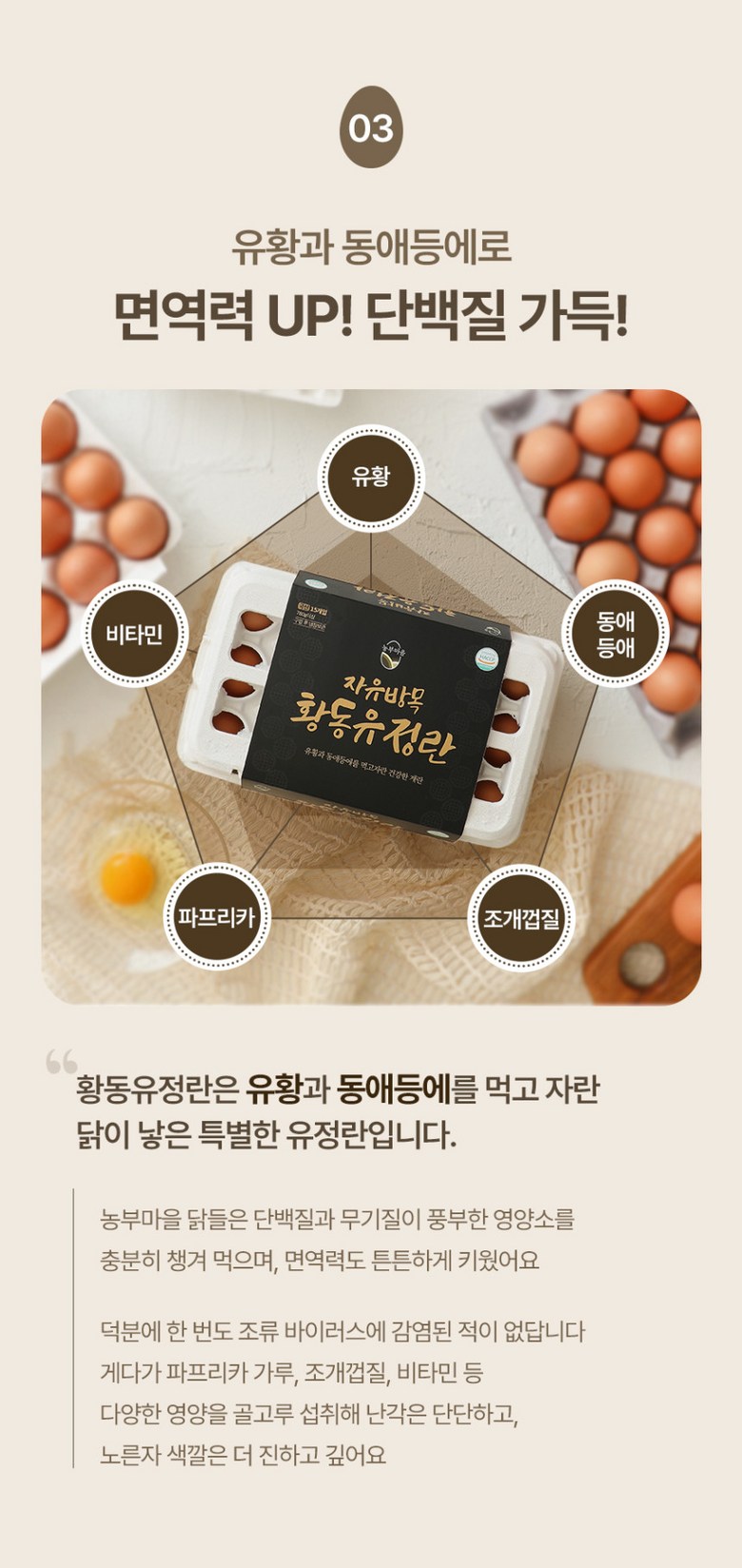 [난각번호1번 계란] 자유방목 무항생제 유정란 생란 생달걀 대란/특란 10구 상세컷