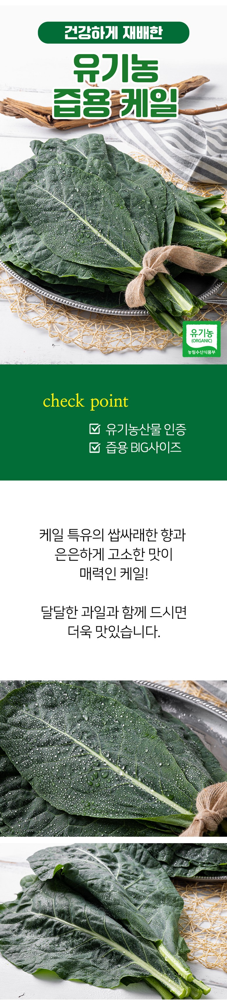 [유기농 무농약] 초신선 국내산 착즙용 케일 450g 상세컷