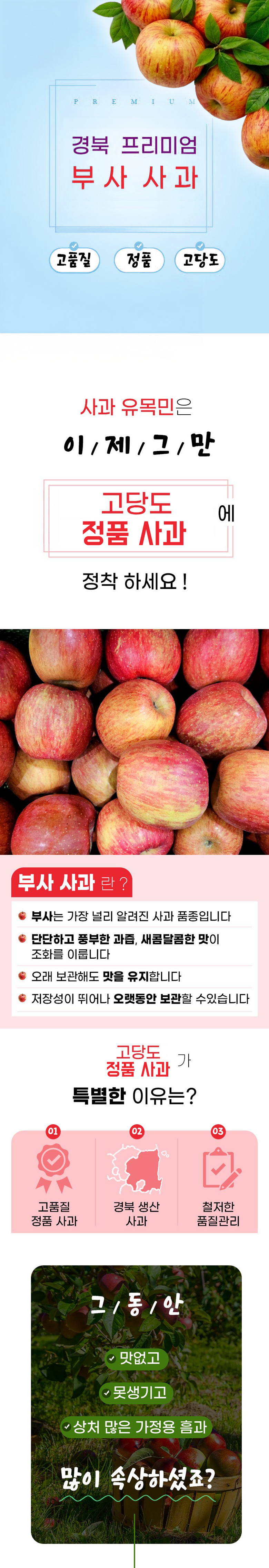 [고급 특품] 아삭달콤 경북 얼음골 부사 사과 중과 상세컷