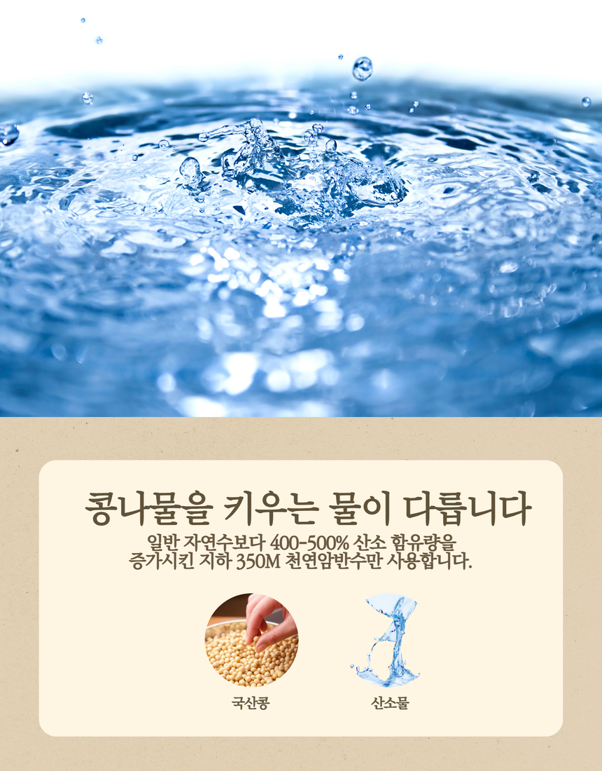 [유기농 무농약] 국내산 초신선 콩나물 1kg 상세컷
