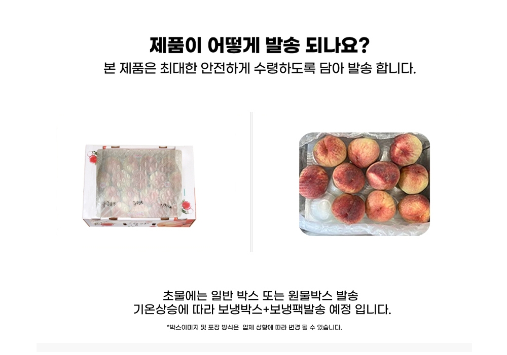 [딱복] 새콤아삭 딱딱이 복숭아 대과 상세컷