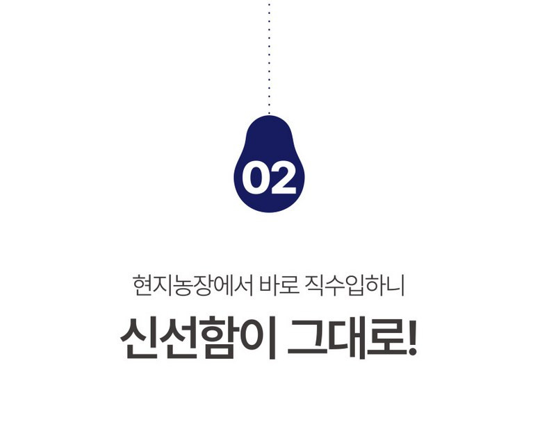 [받자마자 바로먹는] 아보카도 잘익은 최상급 후숙 아보카도 210g 상세컷