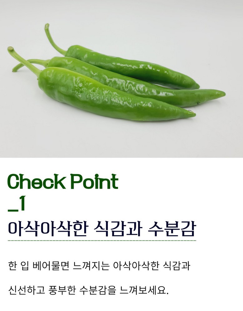 [당일경매] 아삭고추 국내산 청정 오이고추 200g 상세컷
