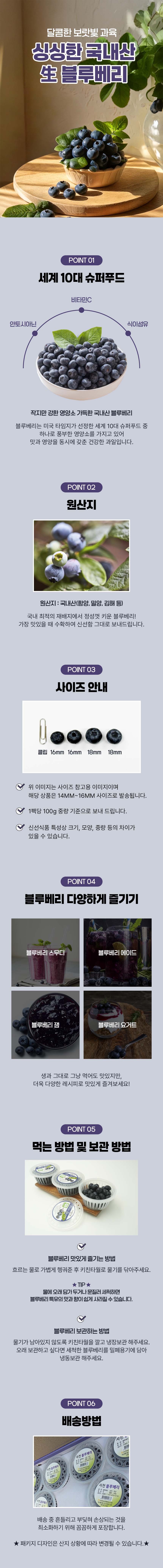 [2026 햇블루베리] 경남 생블루베리 생과 100g 상세컷
