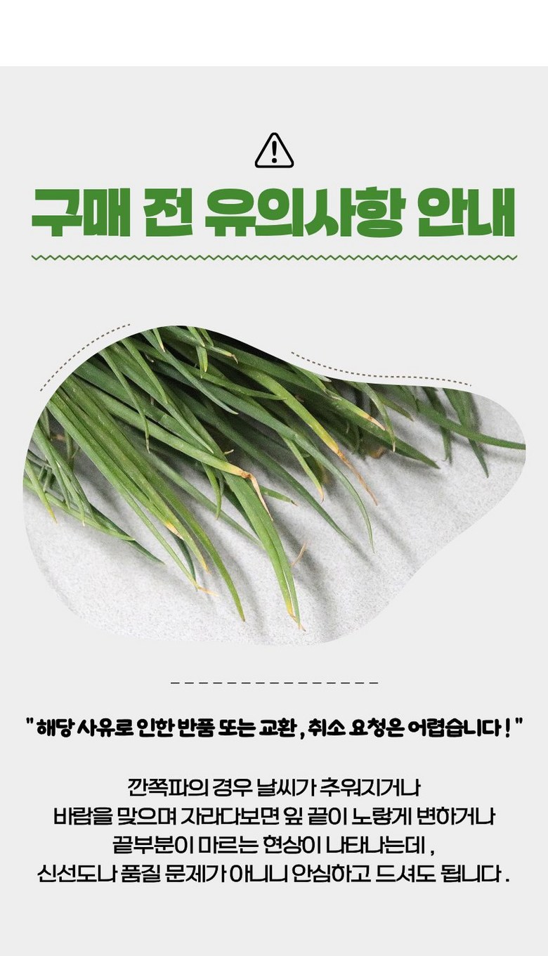 [당일손질] 해풍맞은 국내산 깐쪽파 200g 상세컷