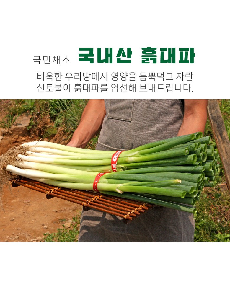 파릇파릇 초신선 국내산 흙대파 1kg 상세컷