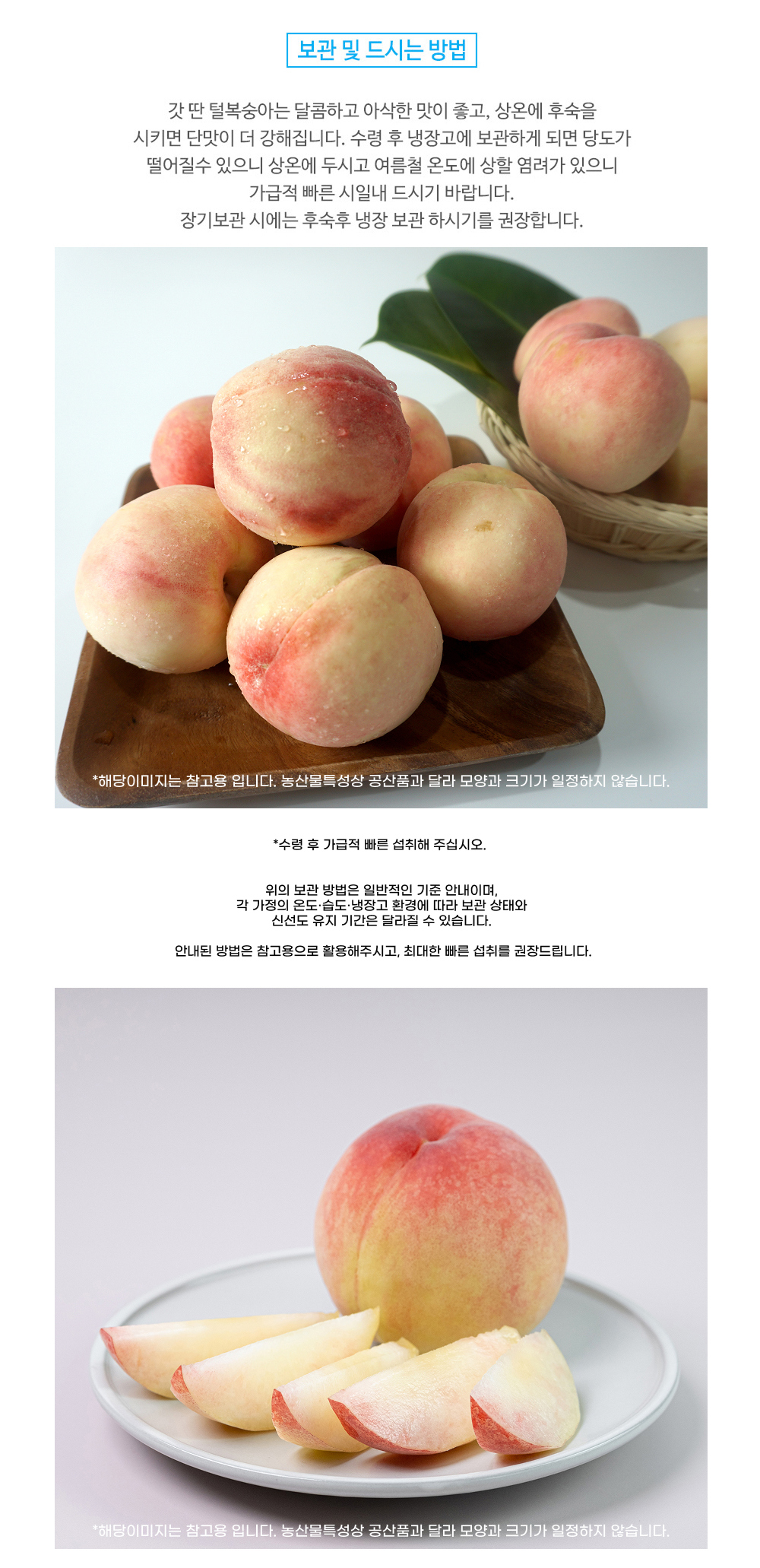 [딱복] 새콤아삭 딱딱이 복숭아 대과 상세컷