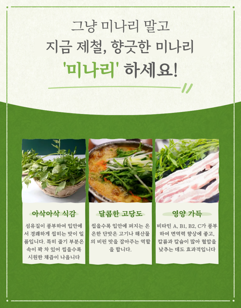 [농가직송] 아삭하고 향긋한 생 돌미나리 100g 상세컷