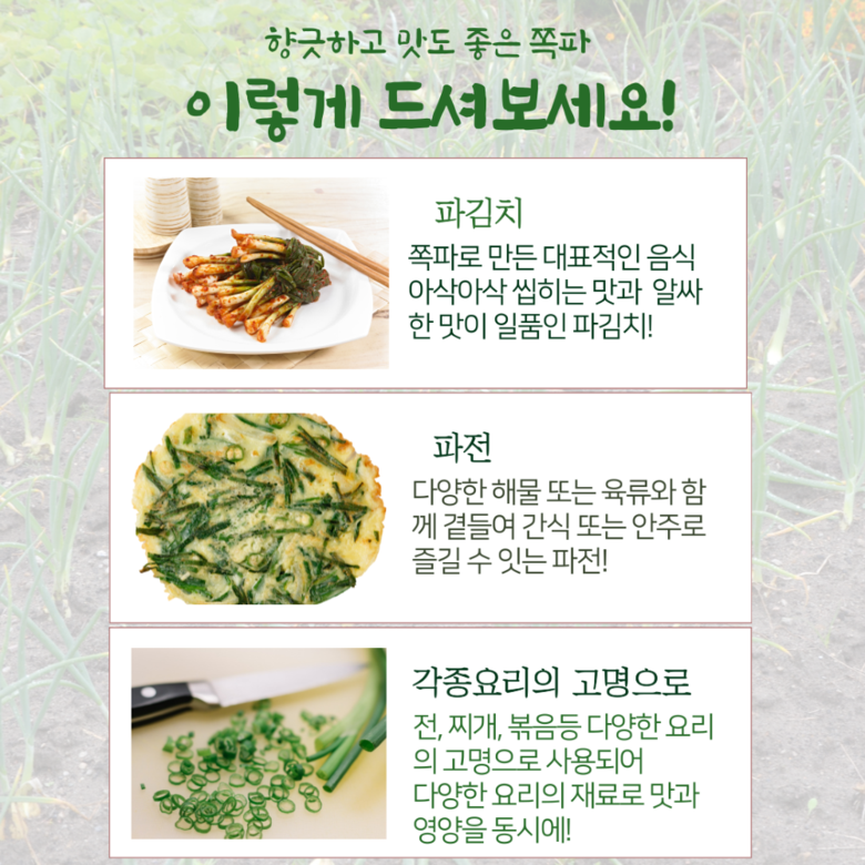 [당일손질] 해풍맞은 국내산 깐쪽파 200g 상세컷