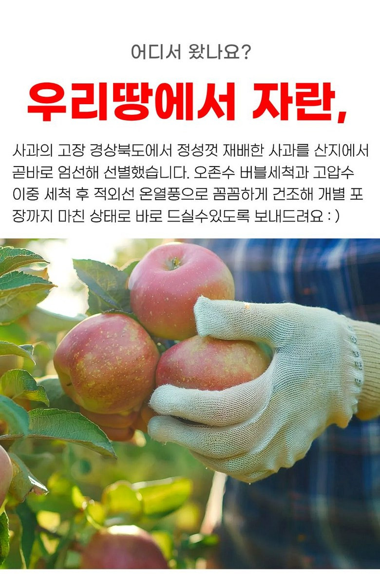 [껍질째 먹는] 낱개포장 새콤아삭 경북 세척사과 중소과 상세컷