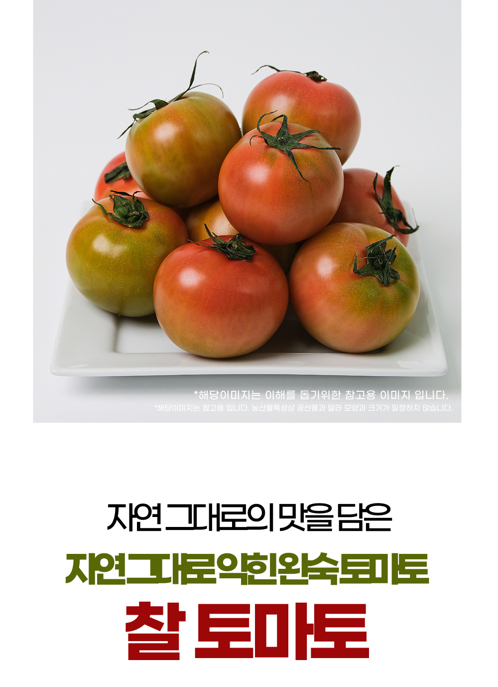 [국내산 산지직송] 초신선 완숙 찰토마토 중과 상세컷