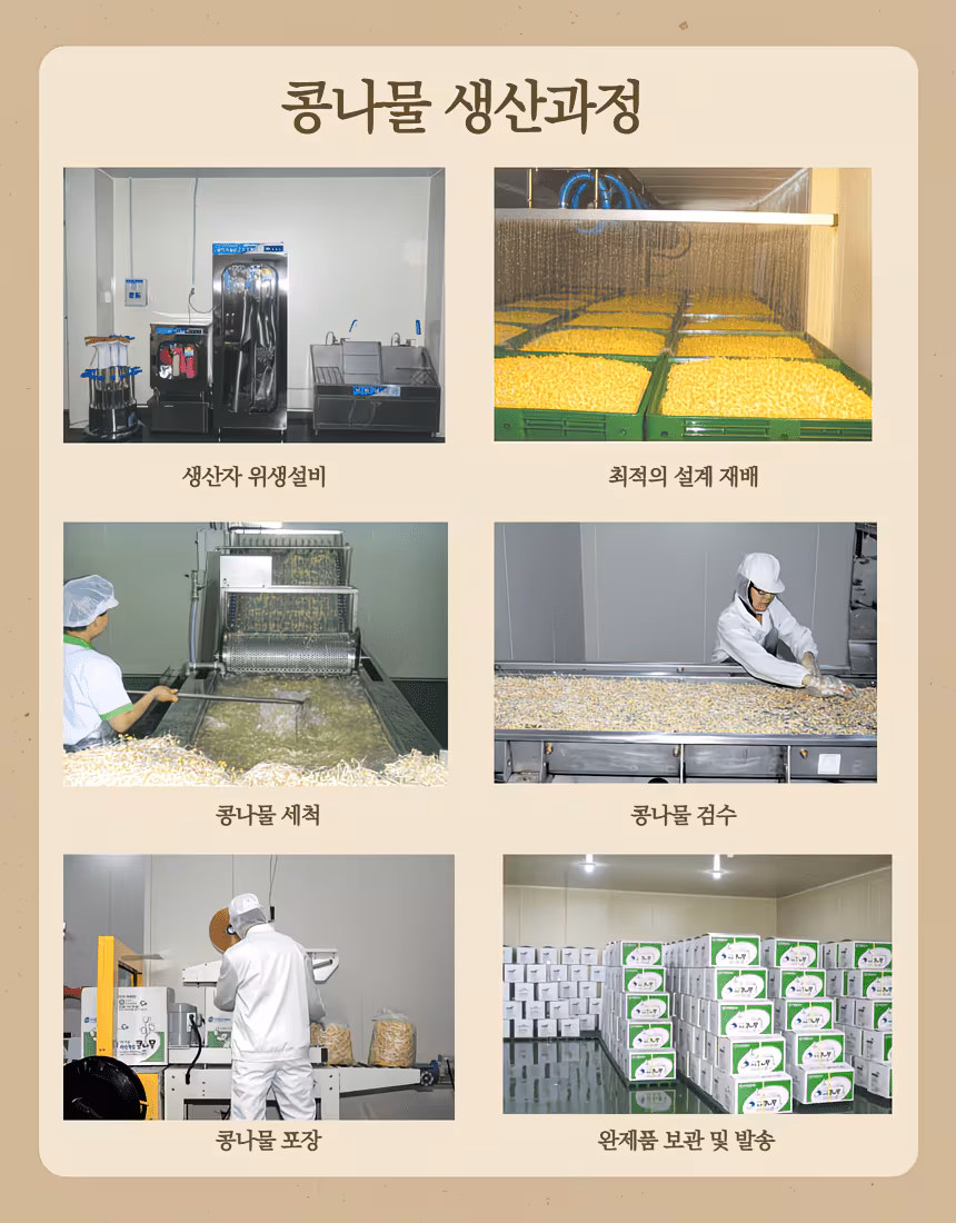 [유기농 무농약] 국내산 초신선 콩나물 1kg 상세컷