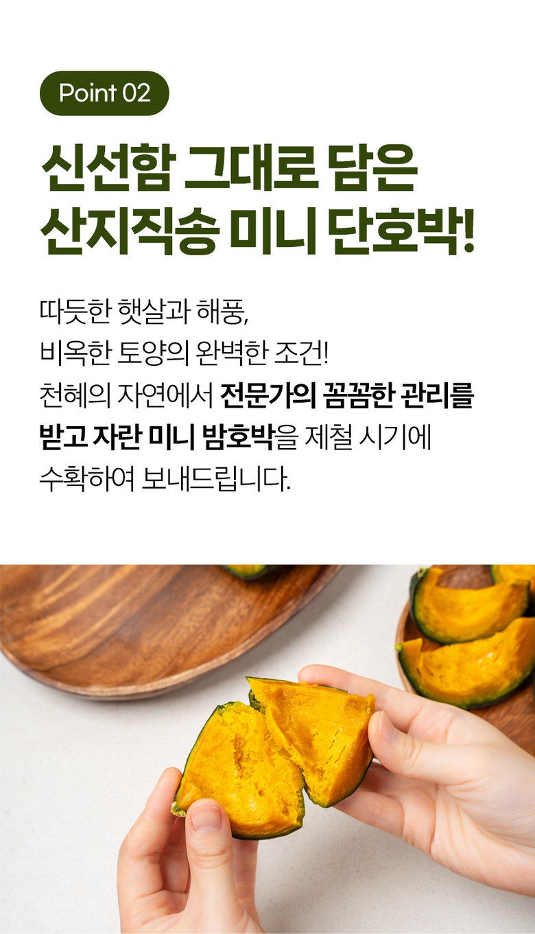 [2026 보우짱] 포슬포슬 제주 햇 미니밤호박 가정용 2kg 상세컷