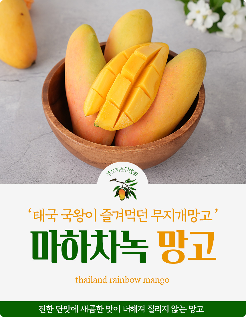 태국 마하차녹 무지개 망고 특대과, 4kg 상세컷