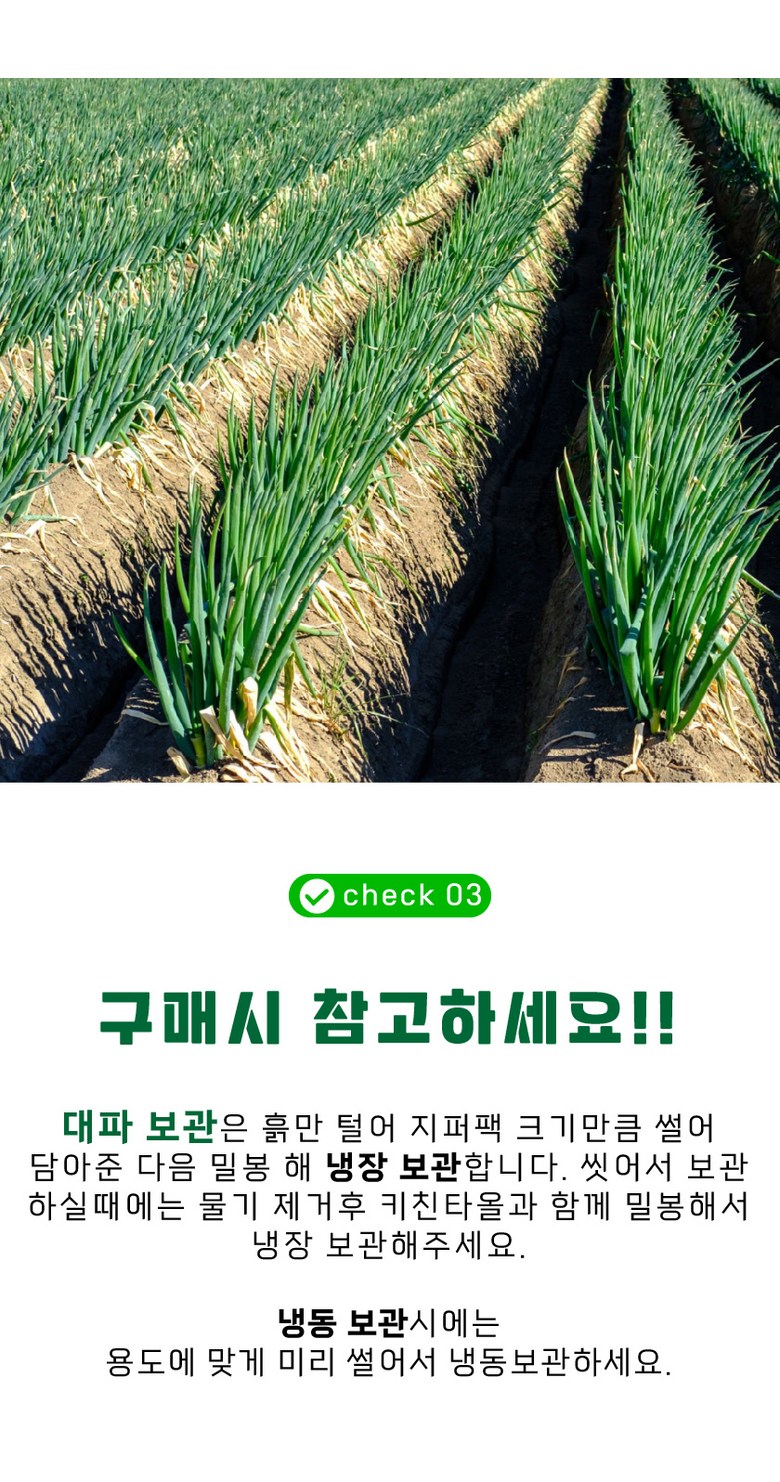 파릇파릇 초신선 국내산 흙대파 1kg 상세컷